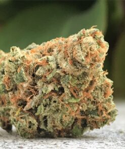 Buy Maui Wowie strain Online