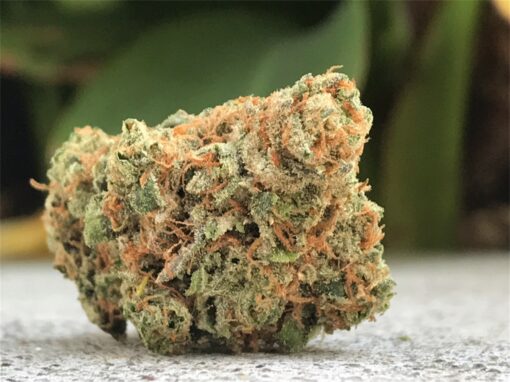 Buy Maui Wowie strain Online