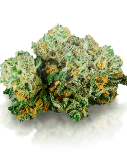 buy blue dream strain Online