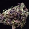 buy cookie monster strain online
