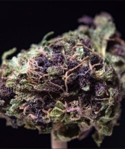buy cookie monster strain online