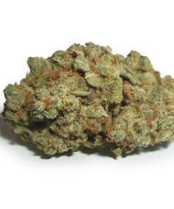 buy candy jack strain online
