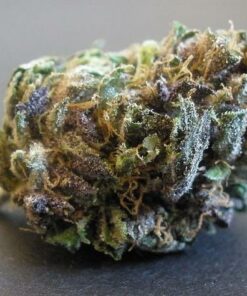 buy hindu kush online
