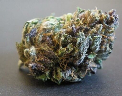 buy hindu kush online
