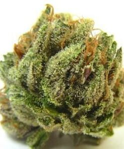 buy hindu kush online