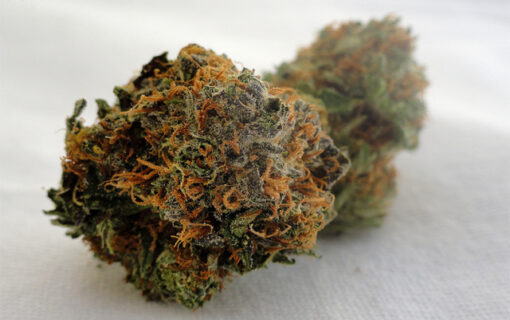 buy la confidential strain online