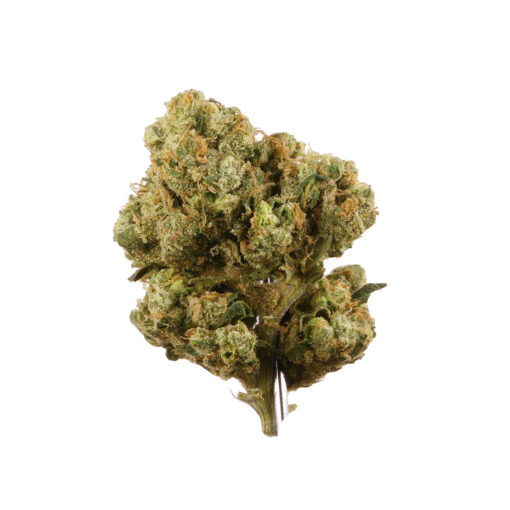 Buy Sour Diesel Strain Online