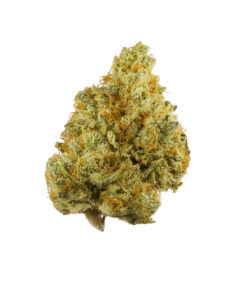 Buy Tangie strain Online