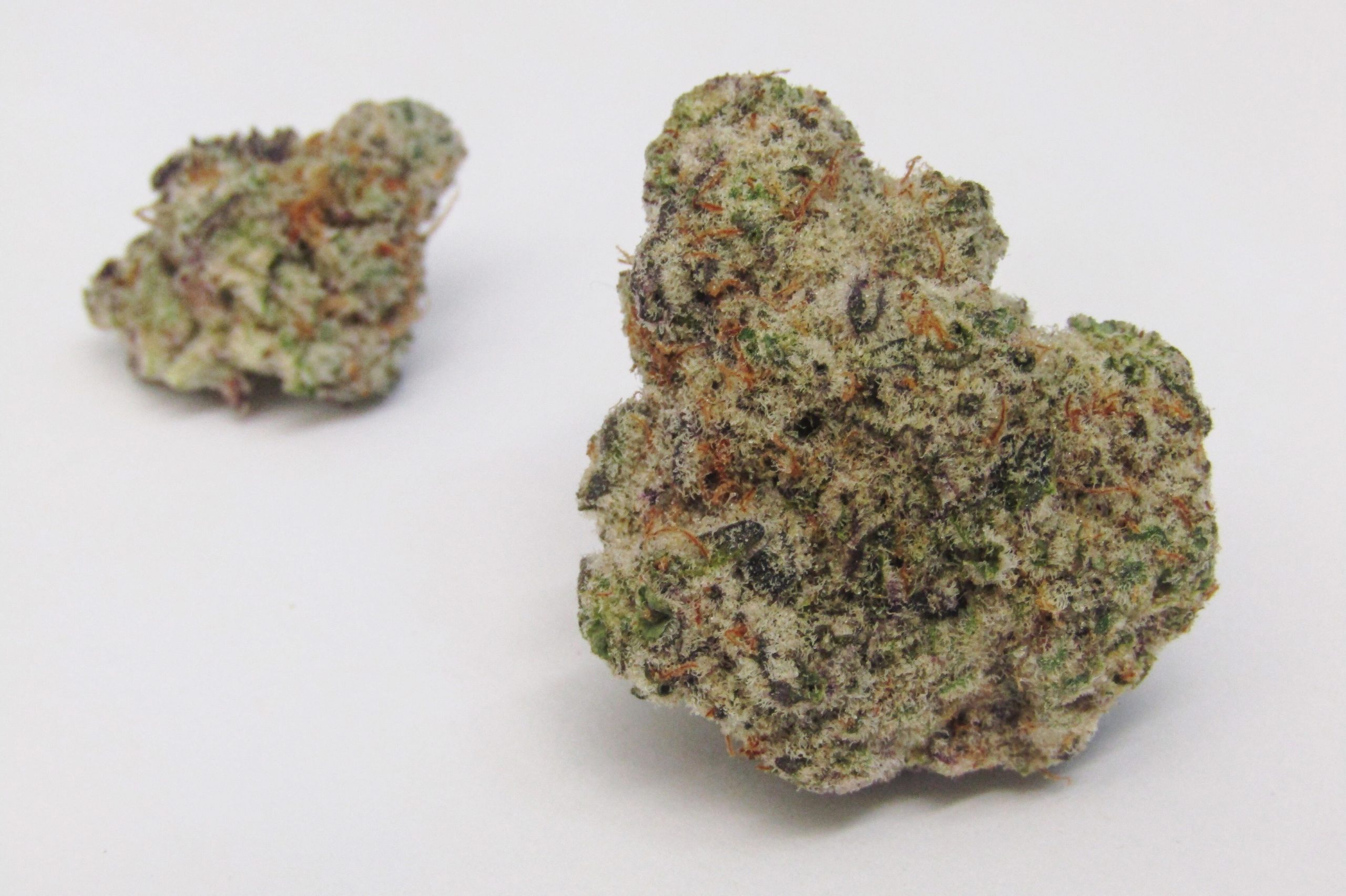 strain_mac buy mac strain online