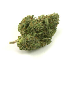 buy trainwreck strain online