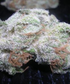 buy white rhino strain online