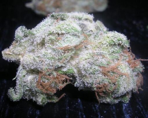 buy white rhino strain online