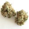 buy white widow strain online