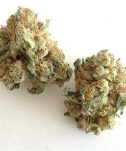 buy white widow strain online