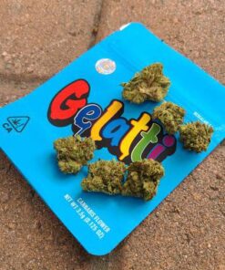 buy gelati cookies online
