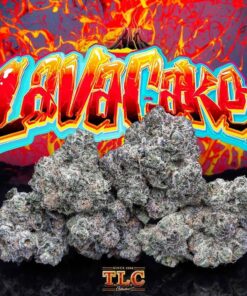buy Jungle Boys Lava Cake #3 online