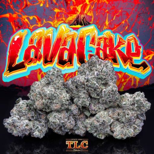 buy Jungle Boys Lava Cake #3 online