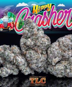 buy Jungle Boys Hippy Crasher Online