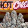 buy Jungle Boys Hot Cakes online