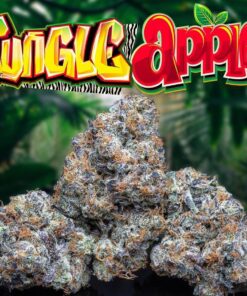 buy Jungle Boys Jungle Apples online