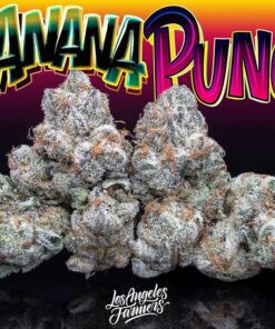 Buy Jungle Boys Banana Punch Online