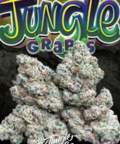 Buy Jungle Boys Grape Topanga online