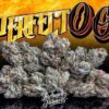 buy Jungle Boys Perfect OG online