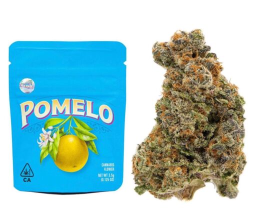buy Berner Cookies Pomelo online