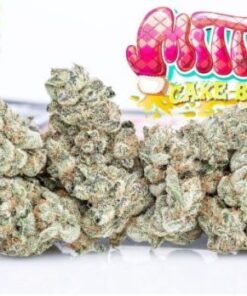 buy Jungle Boys Mitten Cake Batter online