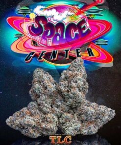 buy Jungle Boys Space age cake online