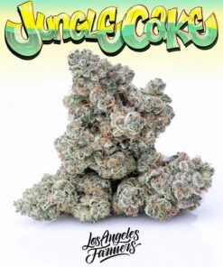 buy Jungle Boys Jungle Cake online