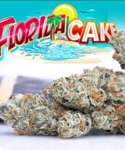 buy Jungle Boys Florida Cake online