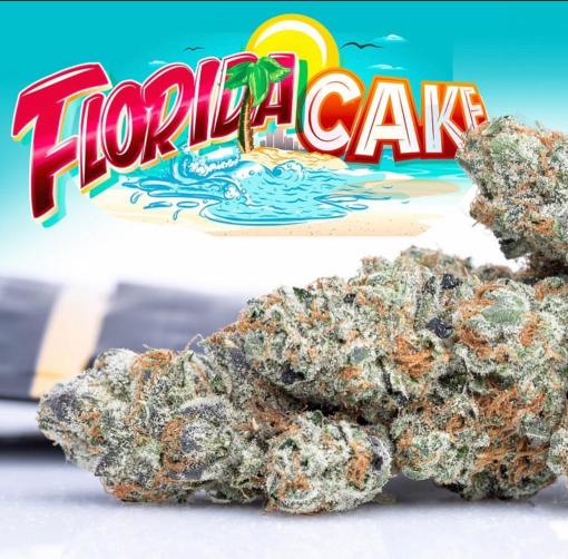 buy Jungle Boys Florida Cake online buy Jungle Boys Florida Cake online