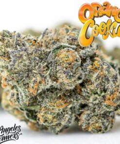 buy Jungle Boys Orange Cookies online