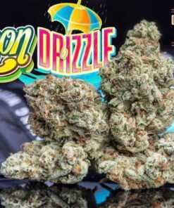buy Jungle Boys Lemon Drizzle online