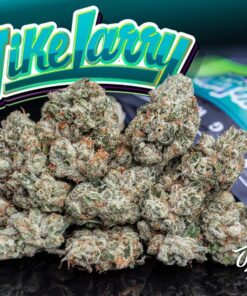 buy Jungle Boys Mike Larry #6 online