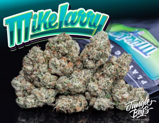 buy Jungle Boys Mike Larry #6 online