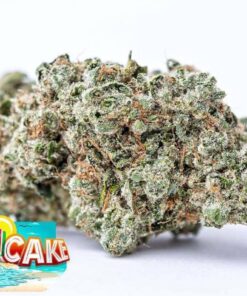 buy Jungle Boys Florida Cake online