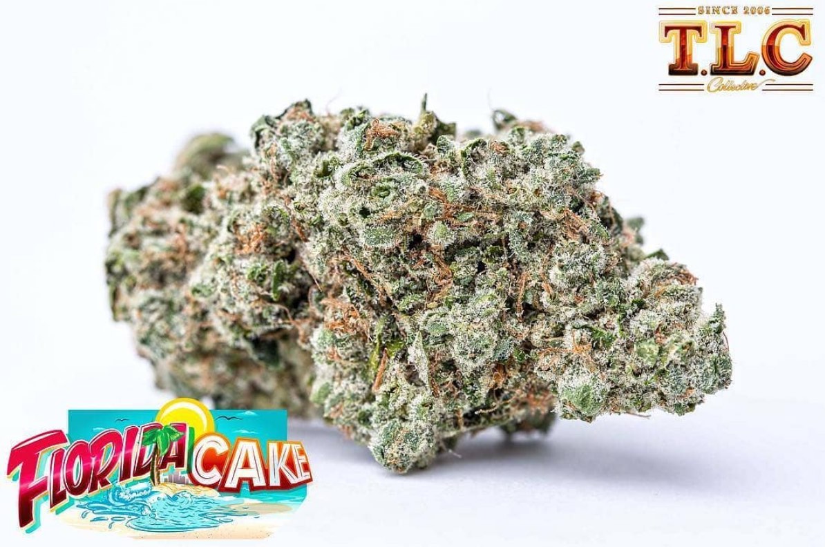 buy Jungle Boys Florida Cake online buy Jungle Boys Florida Cake online