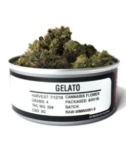 buy gelato strain online