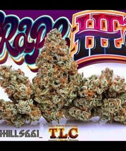 buy Jungle Boys Grape Head online