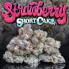 Buy Jungle Boys Strawberry Shortcake Online