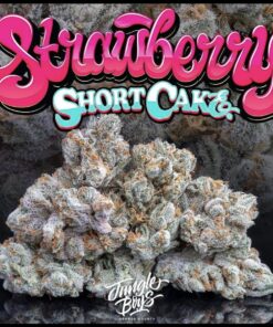 Buy Jungle Boys Strawberry Shortcake Online