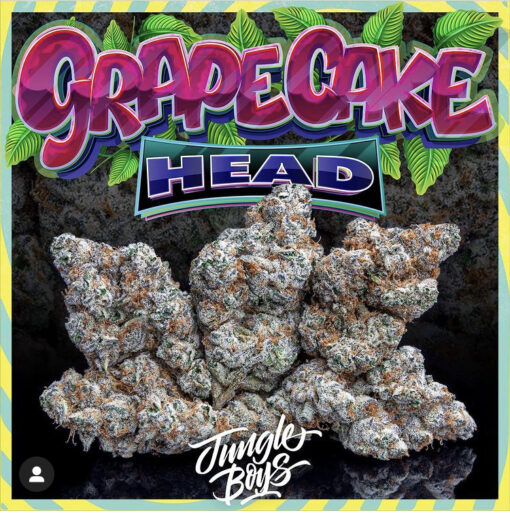 buy Jungle Boys Grape Head online