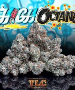 buy Jungle Boys High Octane online