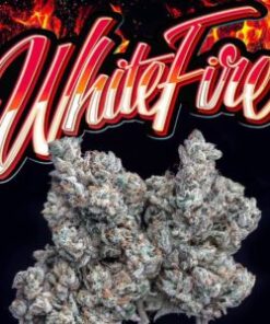 buy Jungle Boys White Fire online