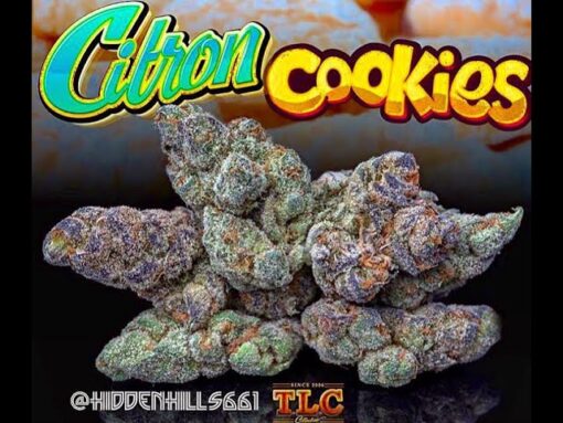 buy Jungle Boys Citron Cookies online