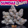 buy Jungle Boys Sundae Driver online