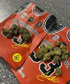 buy 33 backpackboyz online