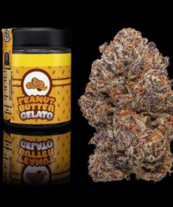 Buy Peanut Butter Breath Backpackboyz online